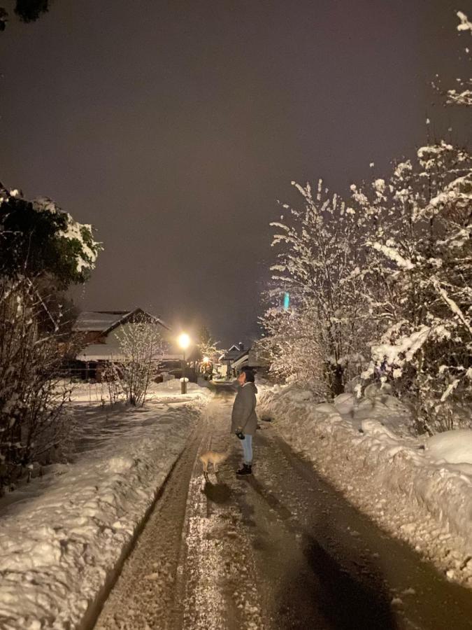 Alpen Apartement Hallstatt Eksteriør billede